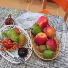 Pekli jsme ovocný štrůdl, navštívili jsme moštárnu